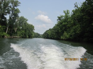 IMG_0115