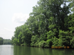 IMG_0118
