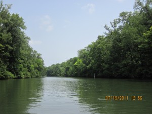 IMG_0120