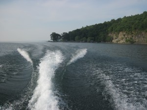 IMG_0239