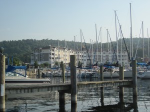 IMG_0242