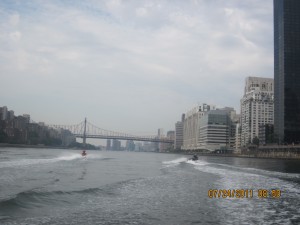 IMG_0343